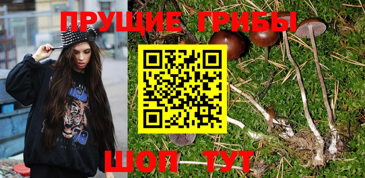 Псилоцибиновые грибы MAGIC MUSHROOMS Туапсе